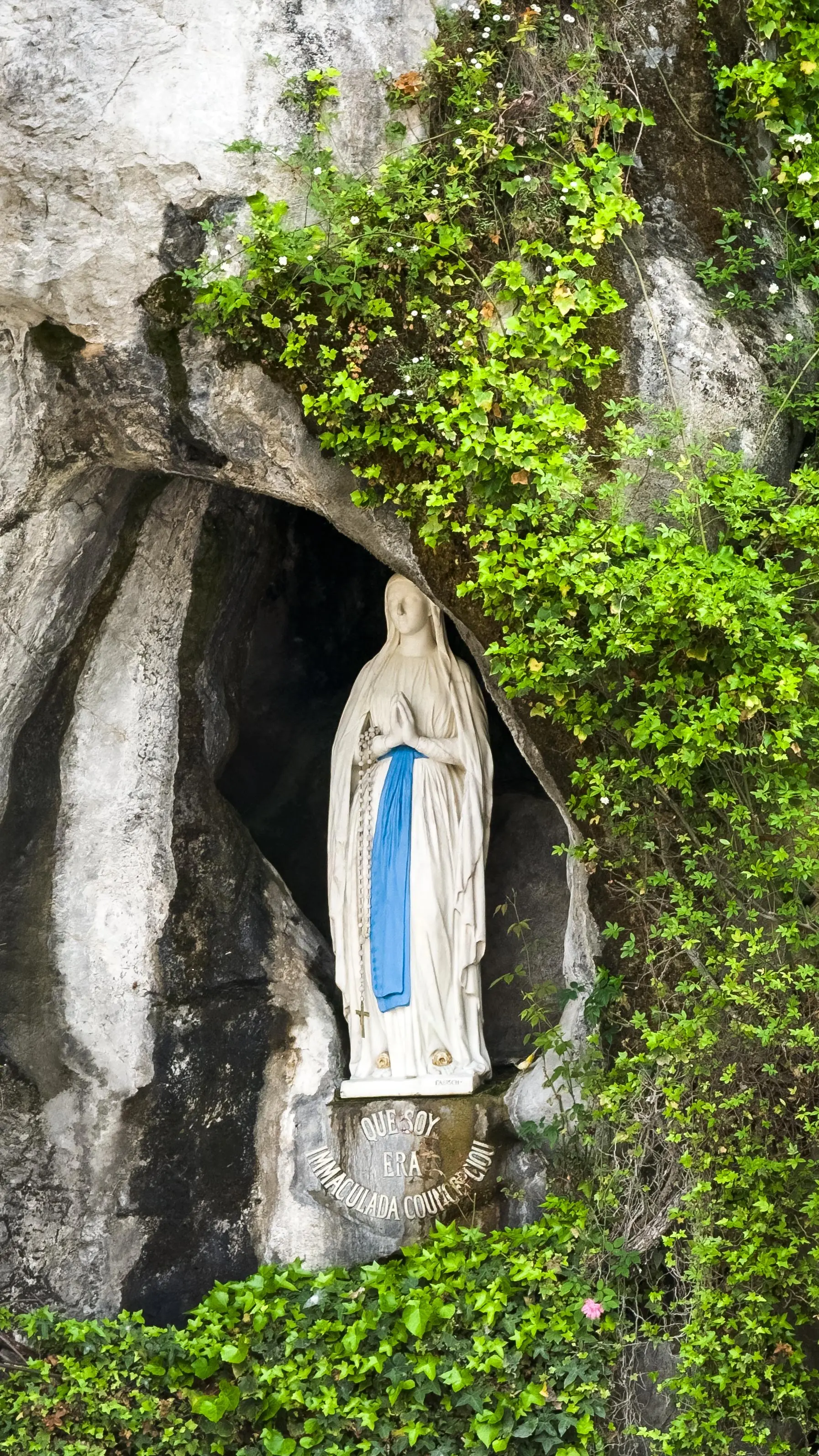 Peregrinación a Lourdes con la Basílica de la Mare de Déu de la Mercè